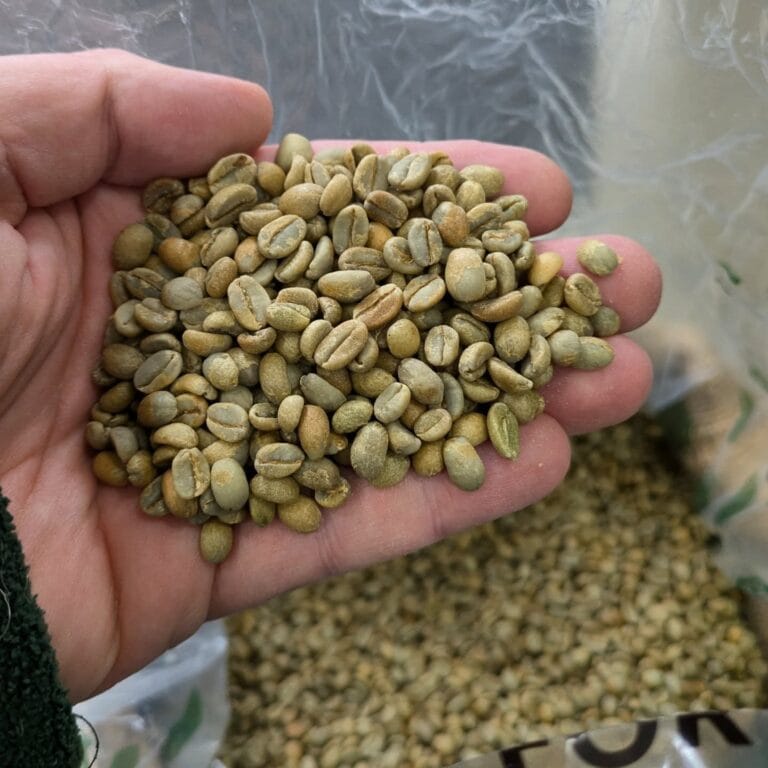 beans1